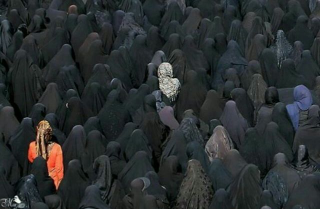 بدون عنوان 
